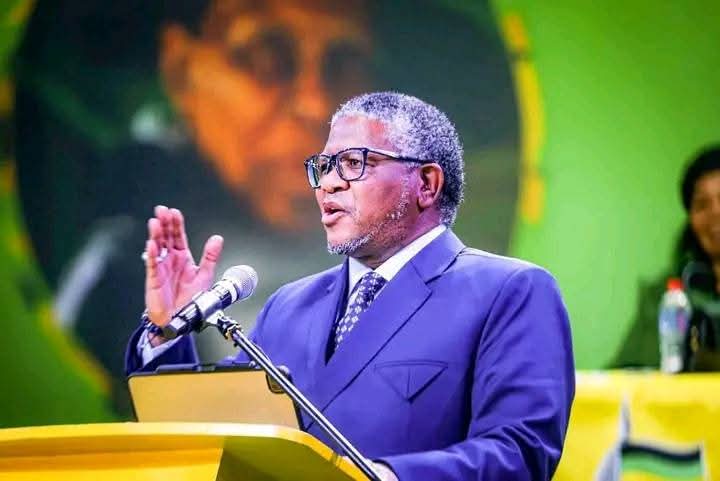 MBALULA WANTS LIMPOPO ANC’S DISPUTES TO END