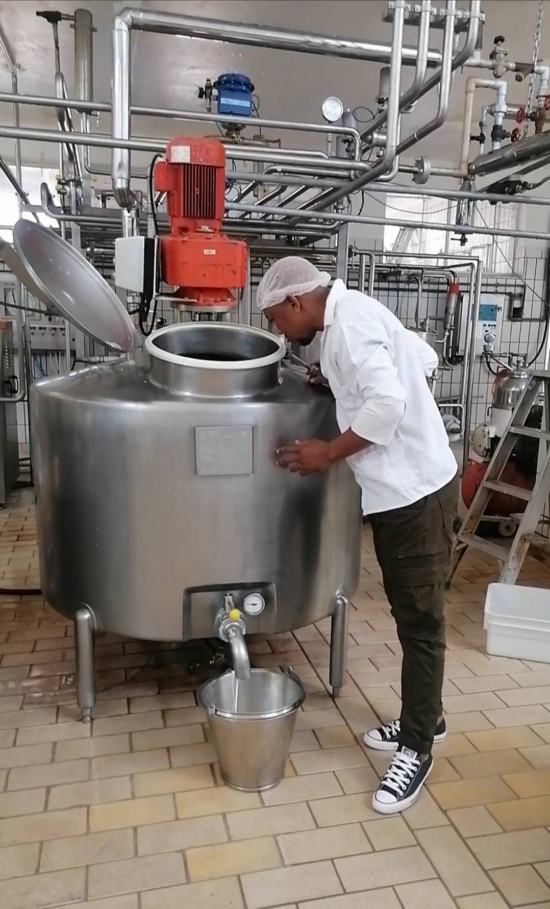 SWEET POTATO YOGHURT CREATE JOBS FOR LOCALS